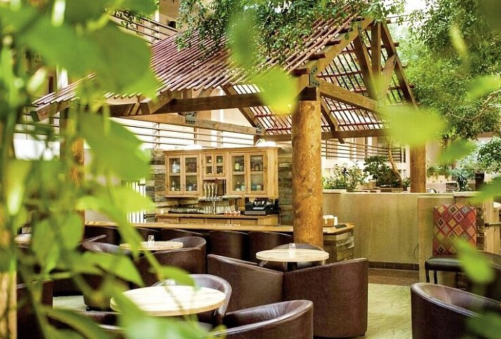 Grand Canyon Plaza Hotel - Atrium