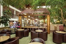 Grand Canyon Plaza Hotel - Atrium