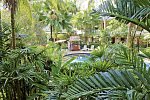 The Viridian Resort