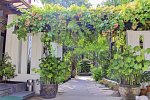 The Viridian Resort