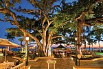 Moana Surfrider, A Westin Resort & Spa, Waikiki Beach