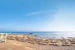 SRNTY Sea Reef