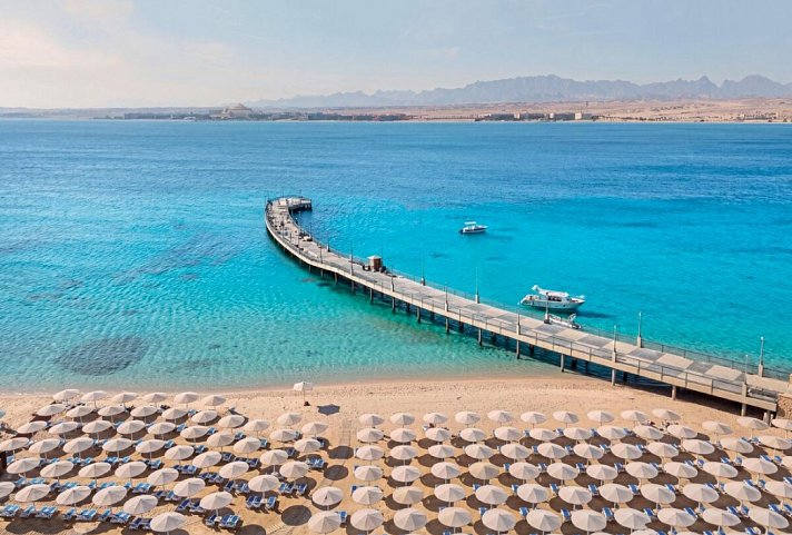 SRNTY Sahl Hasheesh