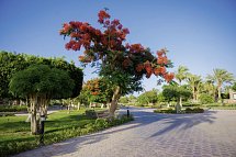 Pharaoh Azur Resort