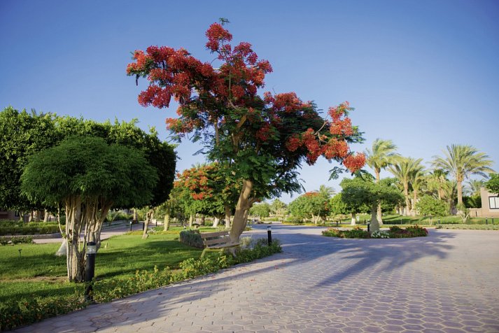 Pharaoh Azur Resort