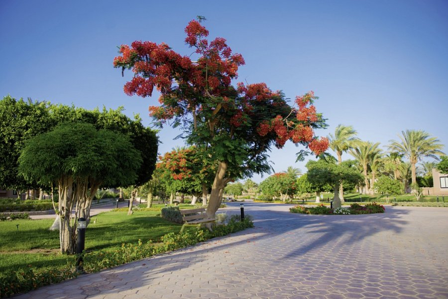 Pharaoh Azur Resort