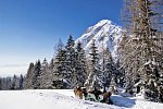 Interalpen-Hotel Tyrol