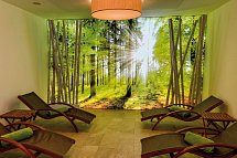 alpenhotel Kaiserfels
