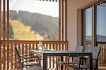 ADEA Lifestyle Suites Fieberbrunn