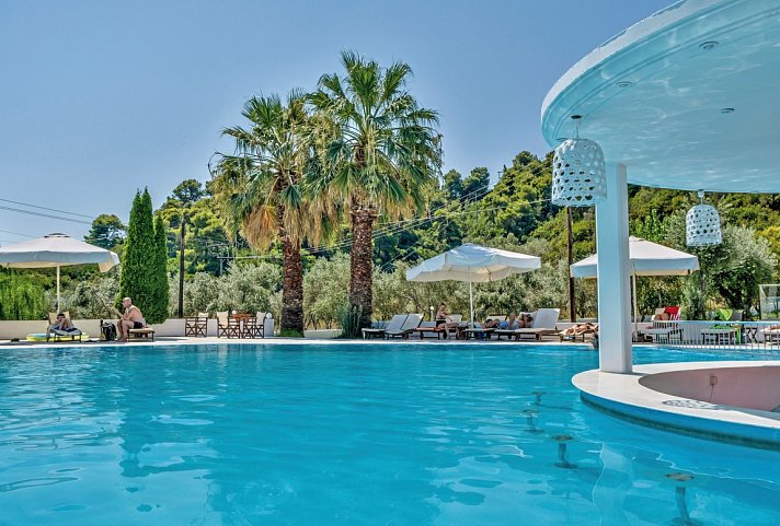 Belvedere Dolphin