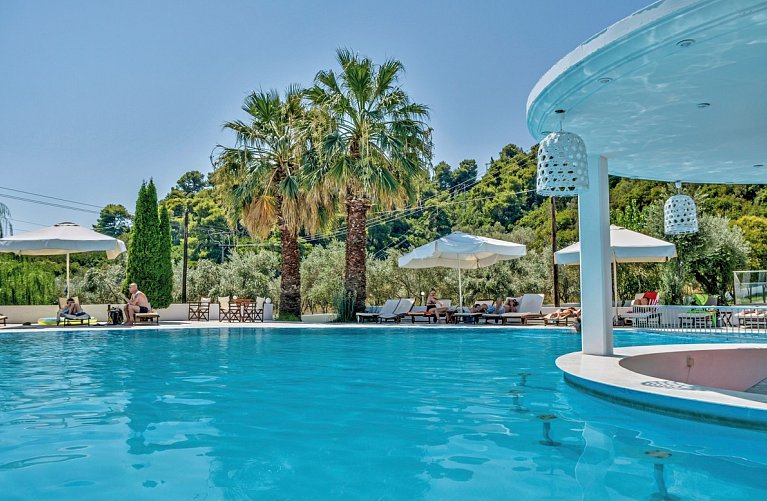 Belvedere Dolphin