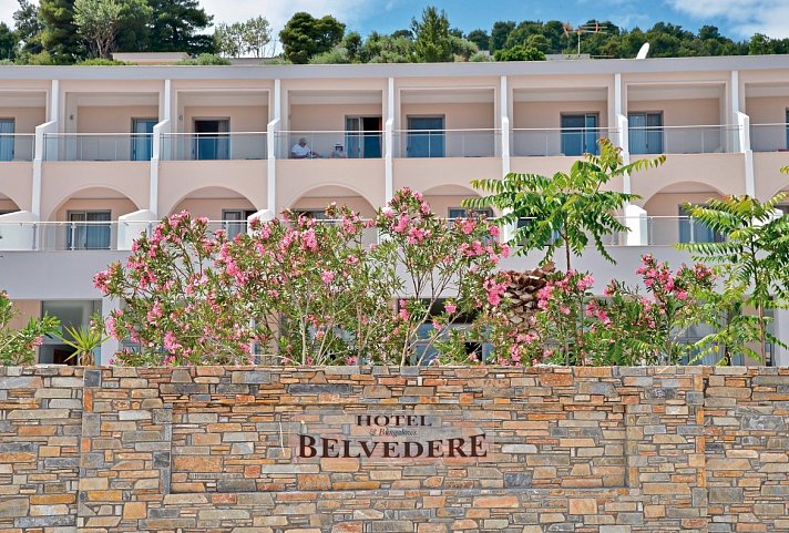 Belvedere Dolphin