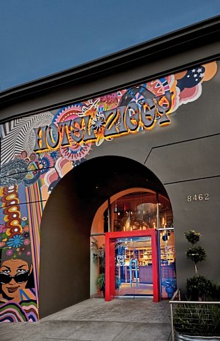 Hotel Ziggy