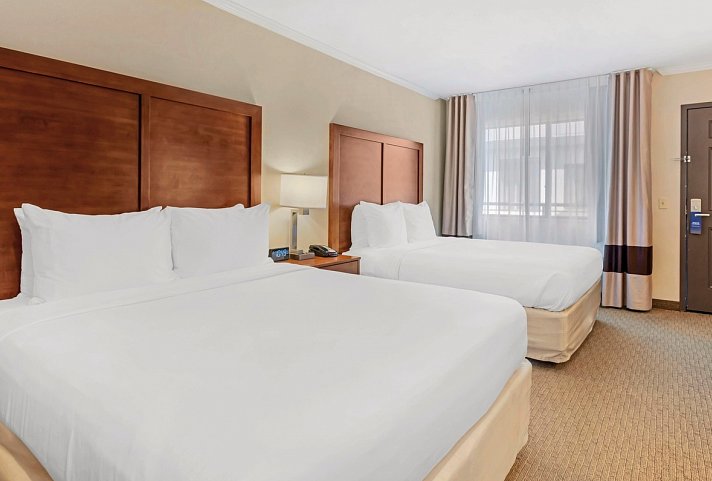 Comfort Inn Santa Monica - Wohnbeispiel Standard 2-Queen Beds (Zimmercodierung UG4)