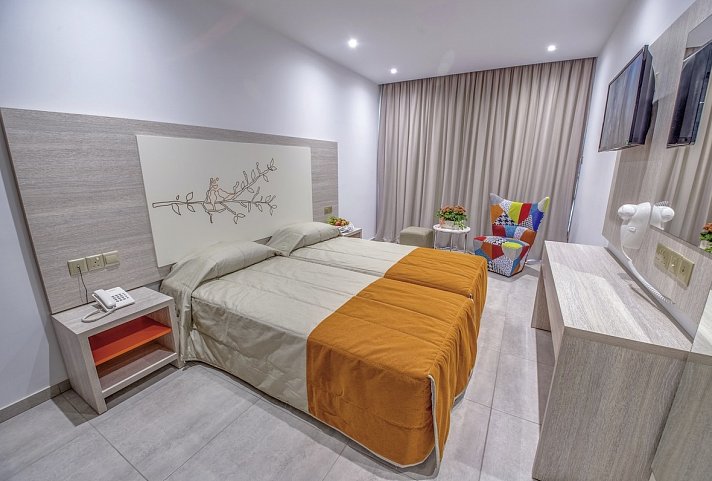 Nicholas Color Hotel - Wohnbeispiel Doppelzimmer Superior (Zimmercodierungen DS1 & DP1)