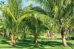 Waimea Plantation Cottages