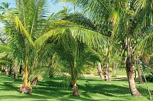 Waimea Plantation Cottages