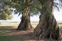 Waimea Plantation Cottages
