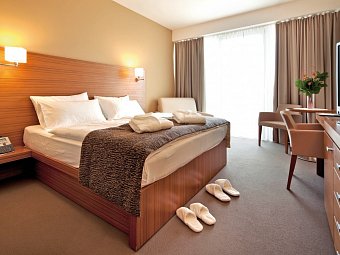 Bohinj Eco Hotel - Wohnbeispiel Doppelzimmer Executive (Zimmercodierung DT1)