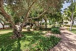 Sol Falcó Menorca
