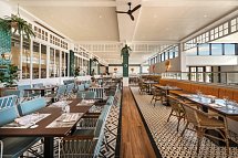 Ocean Coral Spring