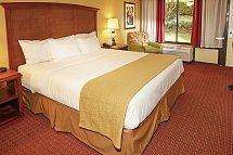 Rosen Inn at Pointe Orlando - Wohnbeispiel Standard (Zimmercodierung UG1)
