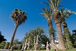 Les Orangers Beach Resort
