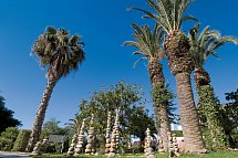 Les Orangers Beach Resort