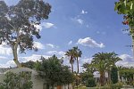 Les Orangers Beach Resort