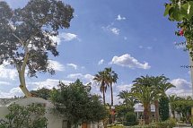 Les Orangers Beach Resort