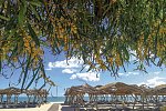 Les Orangers Beach Resort