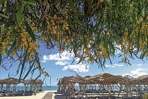 Les Orangers Beach Resort