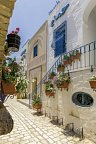 Medina Diar Lemdina