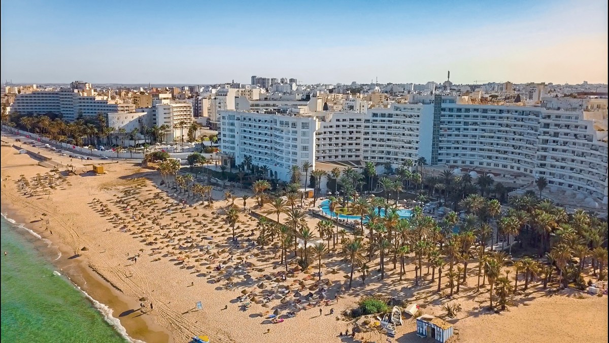 Riadh Palms
