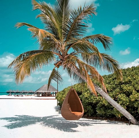 Coco Palm Dhuni Kolhu