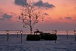 Coco Palm Dhuni Kolhu