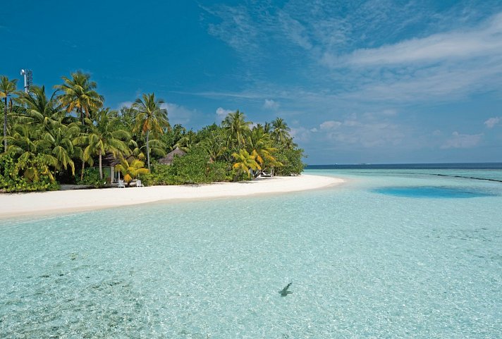 Safari Island Resort & Spa