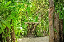 Niva Dhigali Maldives
