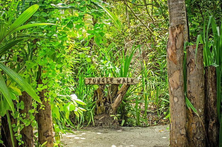 Niva Dhigali Maldives