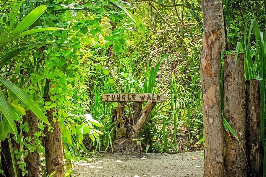 Niva Dhigali Maldives