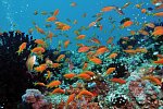 Niva Dhigali Maldives