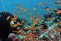 Niva Dhigali Maldives