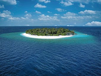 Malahini Kuda Bandos