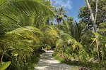 Malahini Kuda Bandos