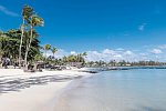 Ambre Mauritius