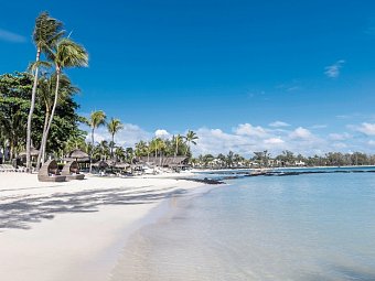 Ambre Mauritius
