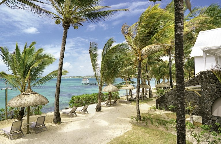 Tropical Attitude