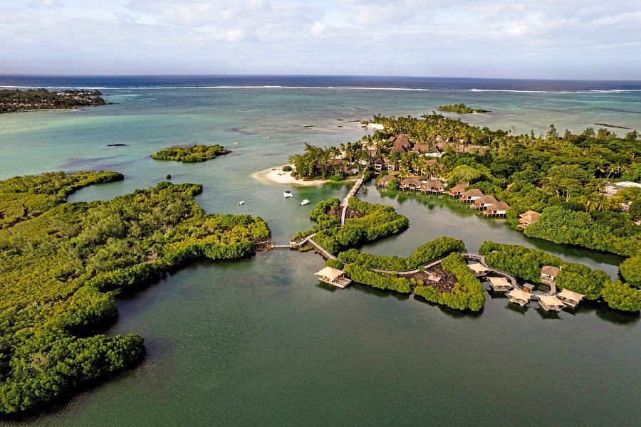 Constance Prince Maurice