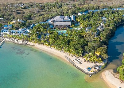 The Ravenala Attitude Balaclava