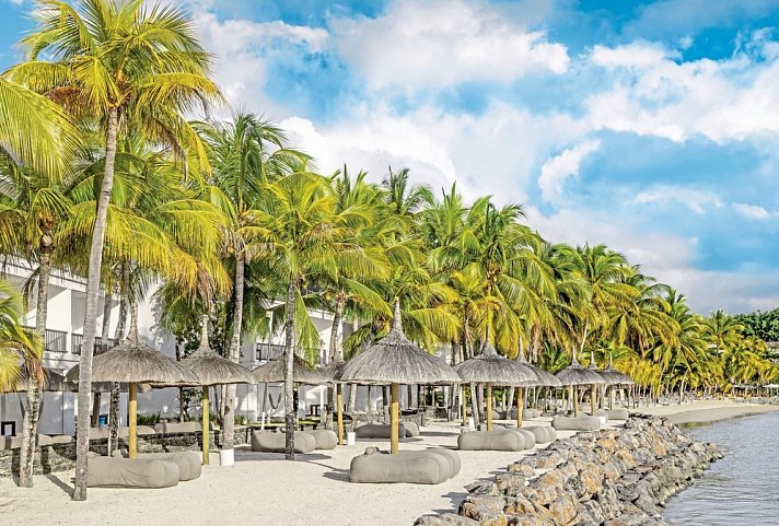 The Ravenala Attitude